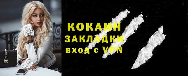 спиды Волосово